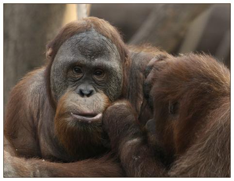 _MG_3470 Kopie_klein.jpg